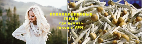 MESCALINE Лагань