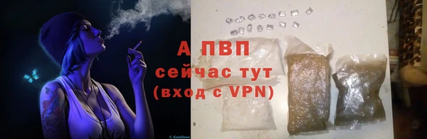 крисы Лабытнанги