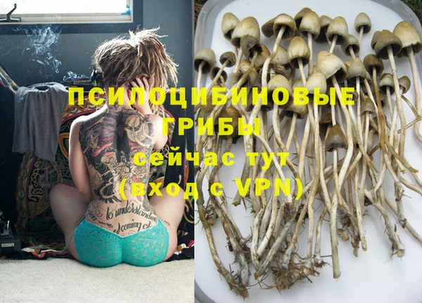 крисы Лабытнанги
