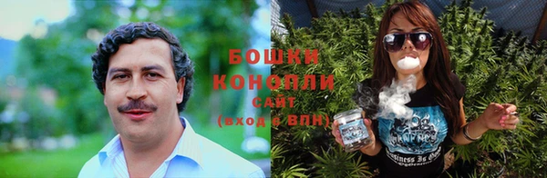 крисы Лабытнанги