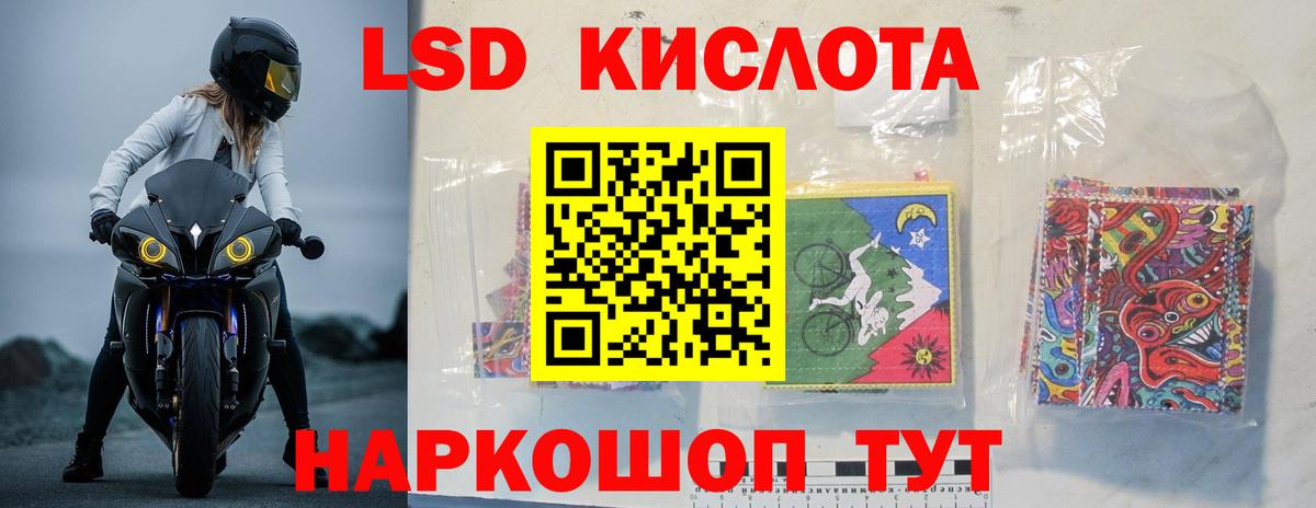 Новозыбков  OMG онион  Лсд 25 экстази  Вход с VPN  Лсд 25 экстази кислота 