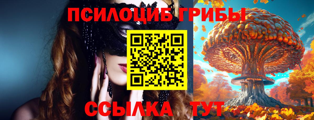 Псилоцибиновые грибы прущие грибы Новозыбков