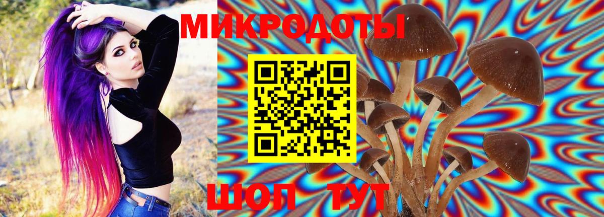 Псилоцибиновые грибы мицелий  Вход с VPN  Новозыбков 